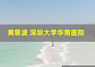 黄慈波 深圳大学华南医院